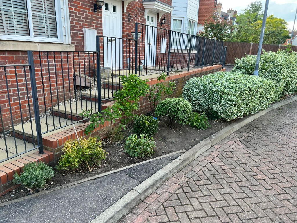 Neatly weeded and dug-over flowerbed with shaped shrubs in a front garden